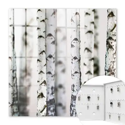 Wall mounted key box Birch trunks as a background