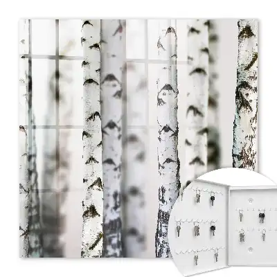 Wall mounted key box Birch trunks as a background