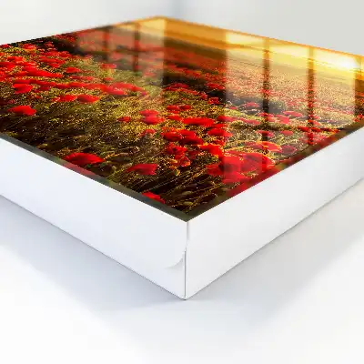 Wall mounted key cabinet Poppy fields at sunset