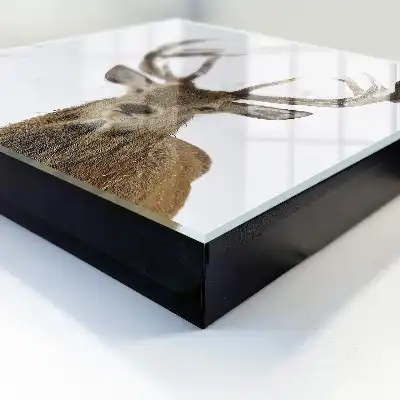 Winter Deer Wall Mounted Key Box