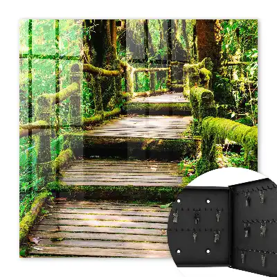 Key box for home Forest bridge in the green forest
