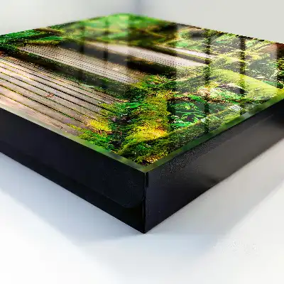Key box for home Forest bridge in the green forest
