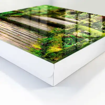 Key box for home Forest bridge in the green forest