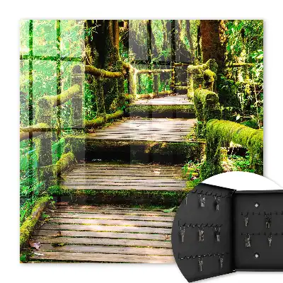 Key box for home Forest bridge in the green forest