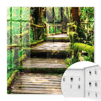 Key box for home Forest bridge in the green forest