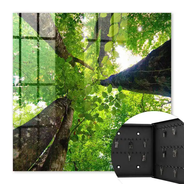 Decorative key box The forest sky is illuminated by light