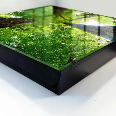 Decorative key box The forest sky is illuminated by light