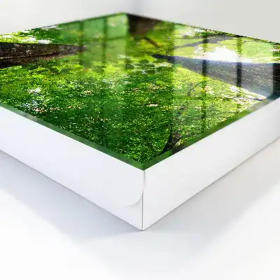 Decorative key box The forest sky is illuminated by light