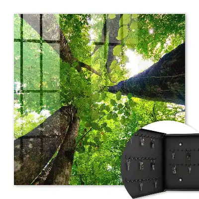 Decorative key box The forest sky is illuminated by light