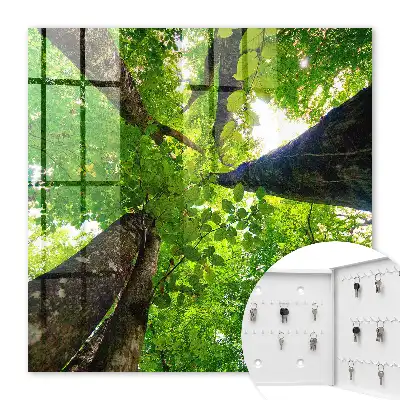 Decorative key box The forest sky is illuminated by light