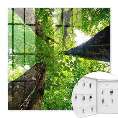 Decorative key box The forest sky is illuminated by light