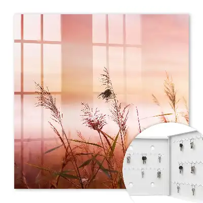 Wall mounted key cabinet Grasses at dawn in pastel shades
