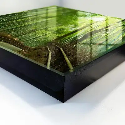 Key cabinet Bamboo Path of Green Harmony
