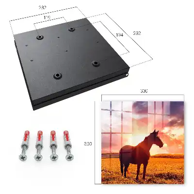 Key box for home A horse in the setting sun