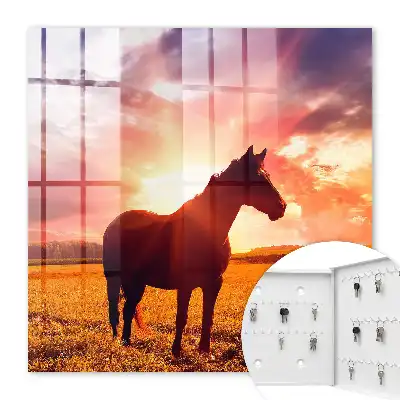 Key box for home A horse in the setting sun
