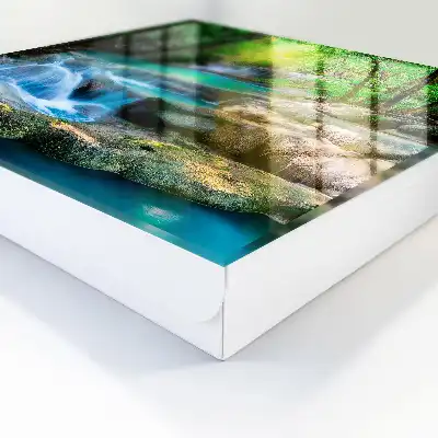 Wall mounted key cabinet Paradise oasis of jungle greenery