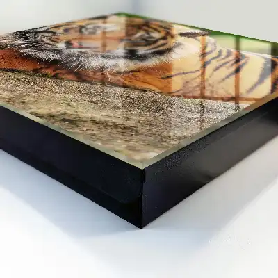 Tiger resting with an intense gaze wall-mounted key cabinet