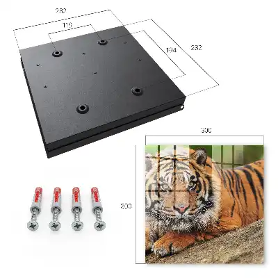 Tiger resting with an intense gaze wall-mounted key cabinet