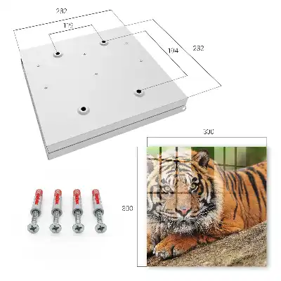 Tiger resting with an intense gaze wall-mounted key cabinet