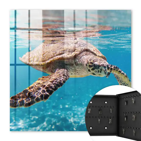 Decorative key box The underwater world of blue water