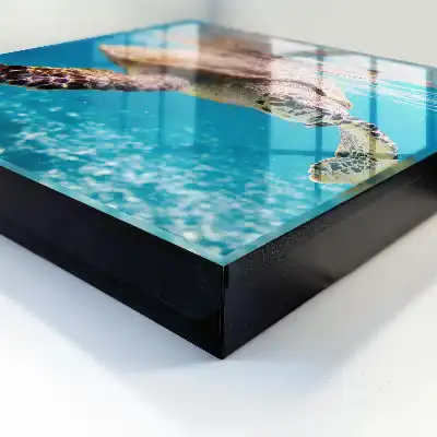 Decorative key box The underwater world of blue water