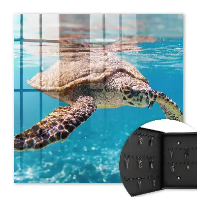 Decorative key box The underwater world of blue water