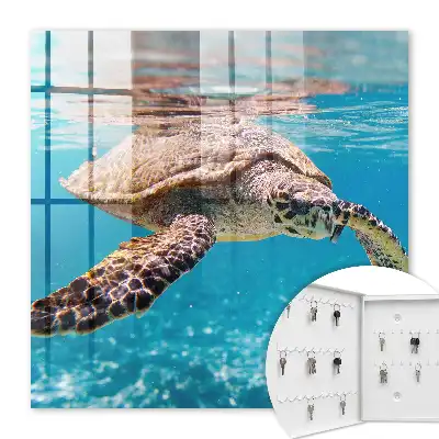 Decorative key box The underwater world of blue water