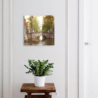 Wall mounted key cabinet The city canal is green with trees
