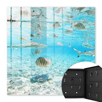 Key box for home Water Life of Harmony