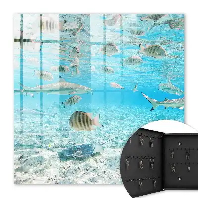 Key box for home Water Life of Harmony