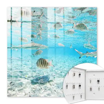 Key box for home Water Life of Harmony