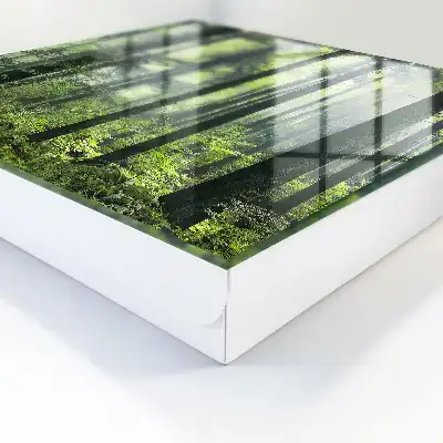 Wall mounted key cabinet Green forest of the sun