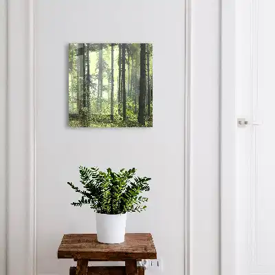 Wall mounted key cabinet Green forest of the sun