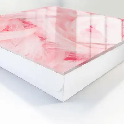 Key cabinet Pink feathers