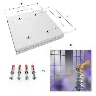 Wall mounted key cabinet Dragonfly on a purple flower