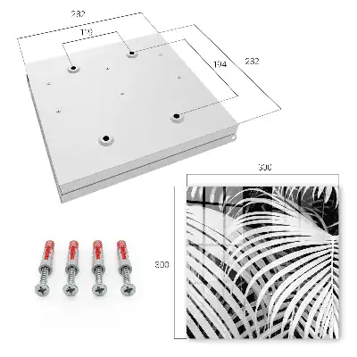 Key cabinet Black and white palm leaves