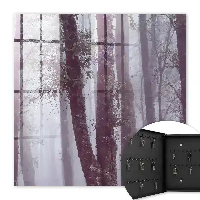 Key cabinet Foggy forest full of mystery