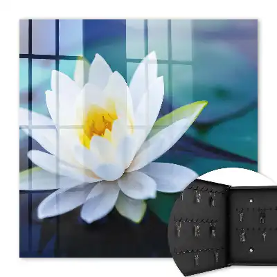 Wall mounted key cabinet Water lily meditation nature