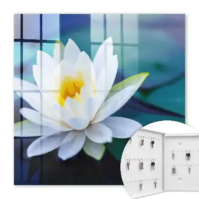 Wall mounted key cabinet Water lily meditation nature