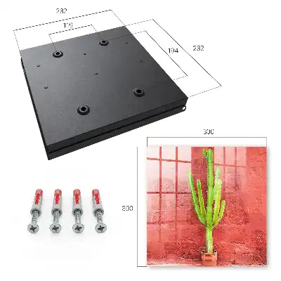 Wall mounted key box Green cactus on a red wall