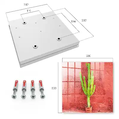 Wall mounted key box Green cactus on a red wall
