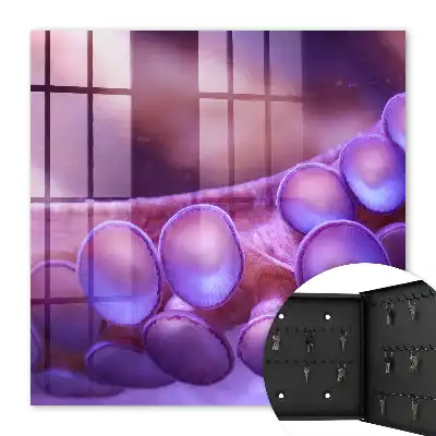 Wall mounted key cabinet Underwater harmony with a mysterious atmosphere