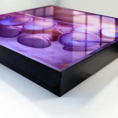 Wall mounted key cabinet Underwater harmony with a mysterious atmosphere