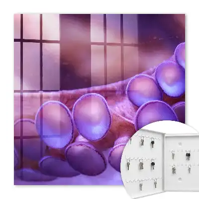 Wall mounted key cabinet Underwater harmony with a mysterious atmosphere