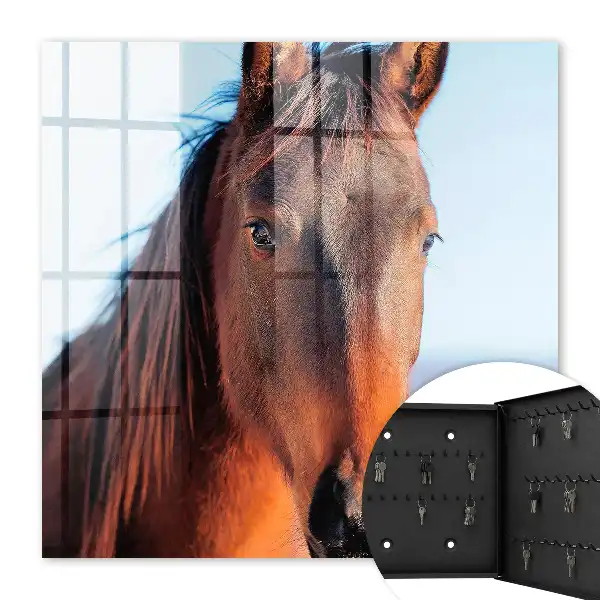Decorative key box Portrait of a horse in natural light