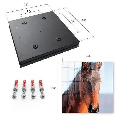 Decorative key box Portrait of a horse in natural light