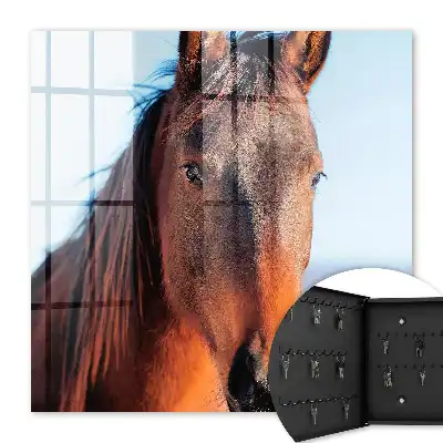 Decorative key box Portrait of a horse in natural light