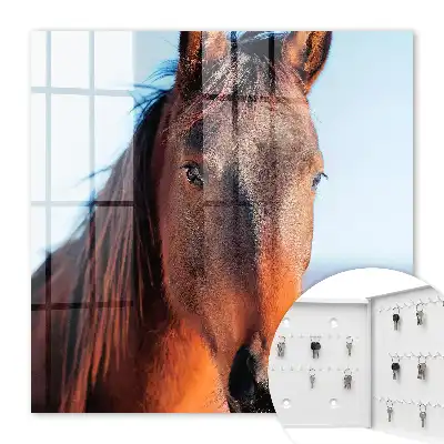 Decorative key box Portrait of a horse in natural light