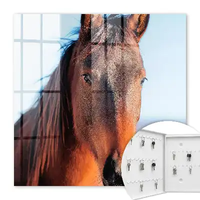 Decorative key box Portrait of a horse in natural light