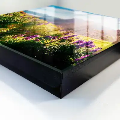 Wall mounted key cabinet A mountain idyll with flowers and sun
